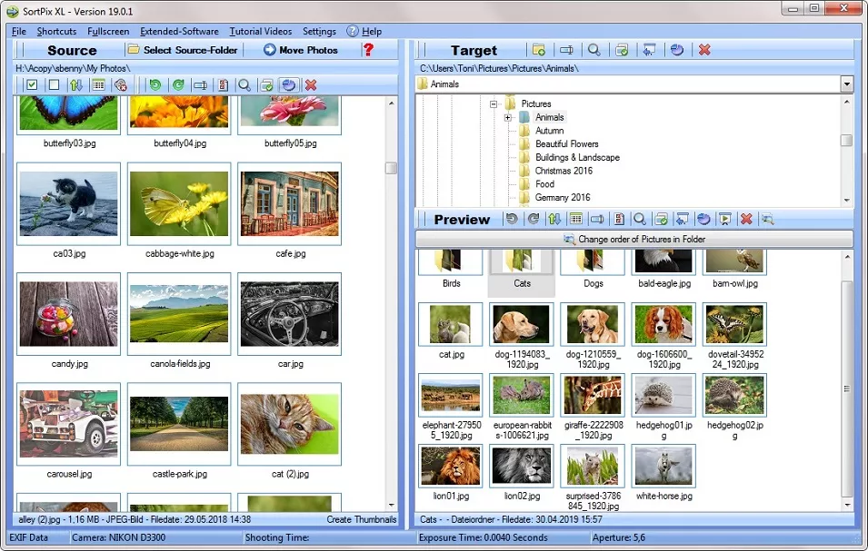Photo Organizer Software