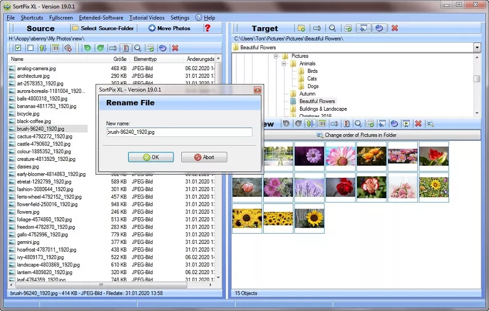 Photo Organizer Windows