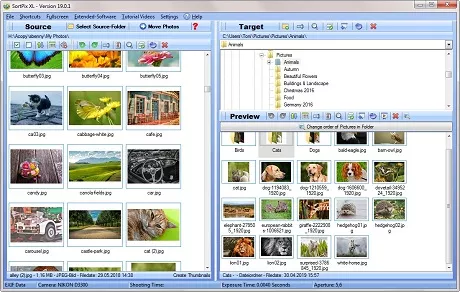 Duplicate Photo Cleaner