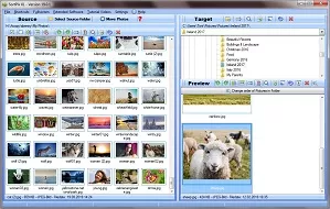 Find Photos