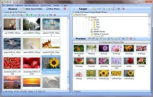 Free Photo Organizer Download