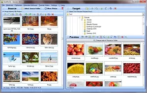 Search Photos