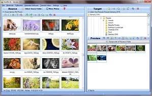 Sort Photos
